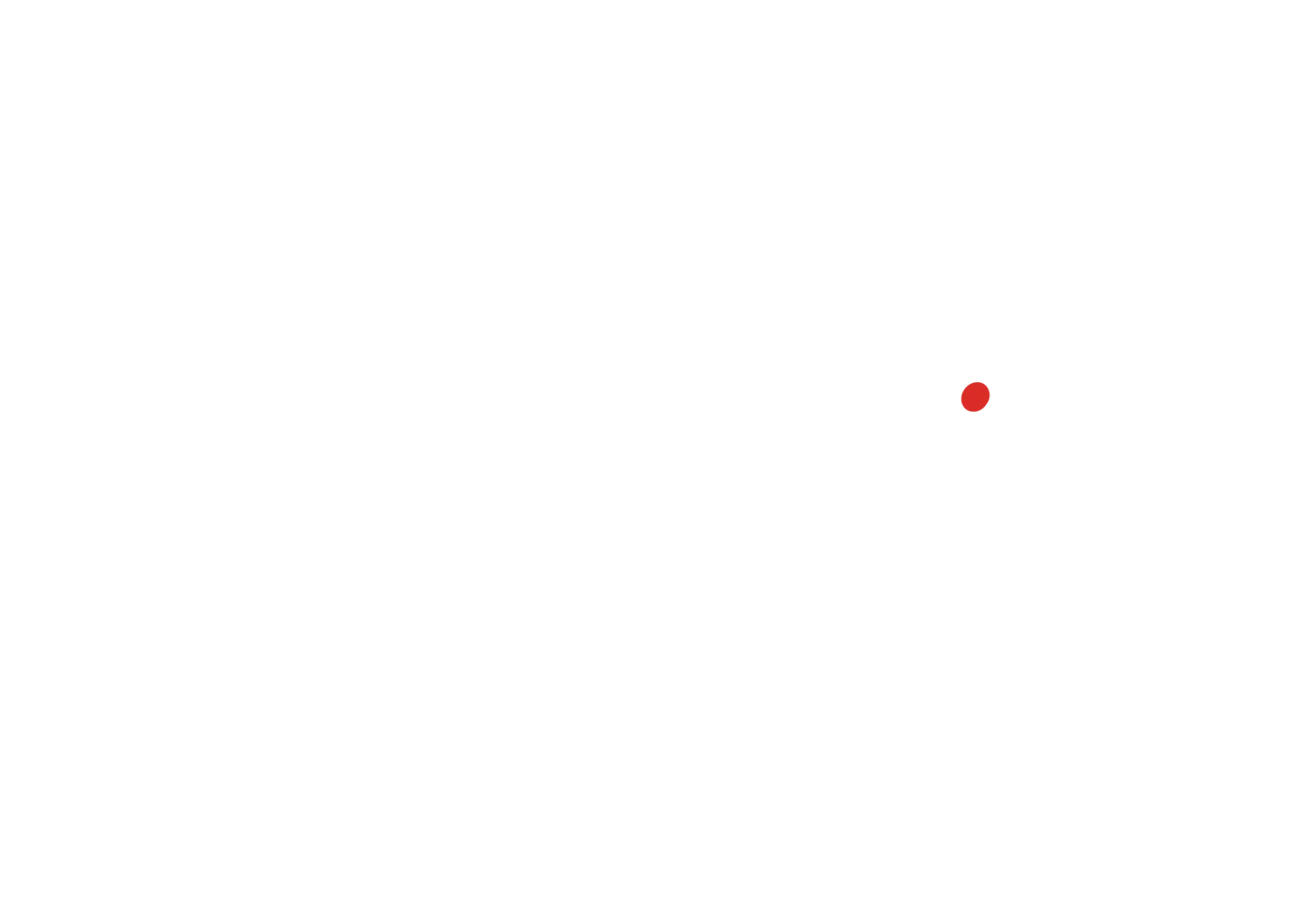 Dynamic Media Logo